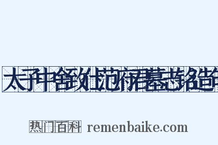 太子中舍致仕范府君墓志铭造句是什么意思的图片